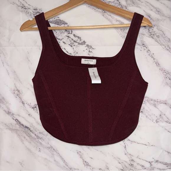 Aritzia Tops - Aritzia Babaton Sculpt Knit Bustier Top